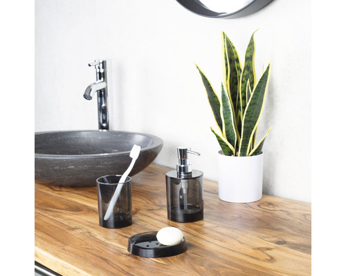 Zátiší v koupelně s umyvadlem, dávkovačem mýdla, miskou na mýdlo, kelímkem na zubní kartáček, zubním kartáčkem a pokojovou rostlinou