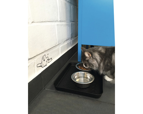 Kočka jí vedle misky s vodou na podložce.