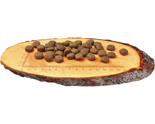 Krmivo pro psy na dřevěné desce s měřítkem