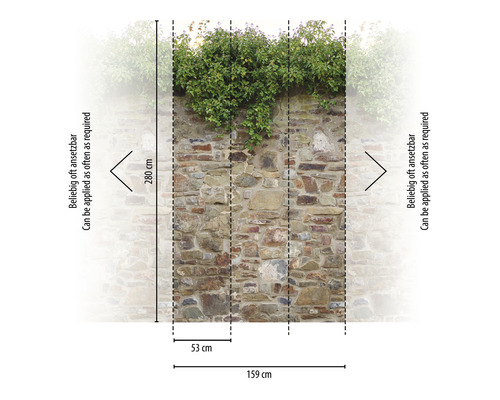 Fototapeta s kamennou zdí a rostlinami, rozměry 159 cm šířka a 280 cm výška