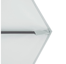 Detailní pohled na slunečník