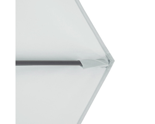 Detailní pohled na slunečník