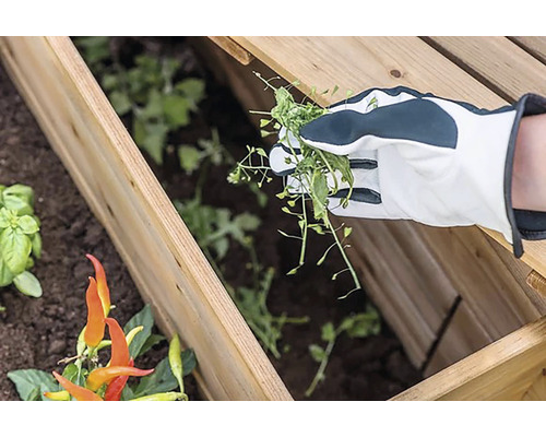 Zahradničení ve vyvýšeném záhonu s odstraňováním plevele osobou v zahradních rukavicích.