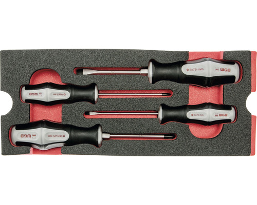 Sada šroubováků s plochou a křížovou hlavou v pěnové vložce