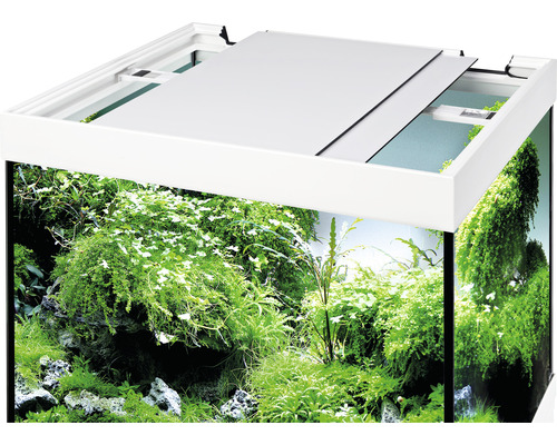 Akvárium s rostlinami a částečně otevřeným krytem