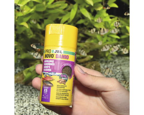 Krmivo pro ryby JBL Novo Danio v ruce