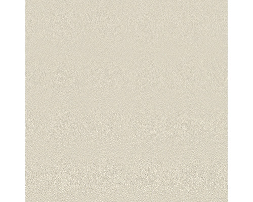 Světlý, lehce strukturovaný interiérový nátěr