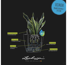 Grafické znázornění zavlažovacího systému Lechuza s rostlinou, ukazatelem hladiny vody, plnicí šachtou, zásobníkem vody a přepadovým šroubem.