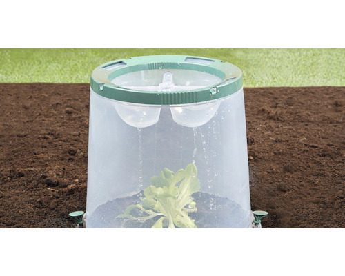 Květinový zvon nad rostlinou v zahradním záhonu