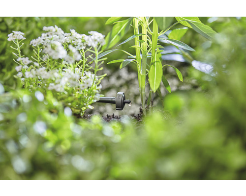 Kapková závlaha v zahradě s rostlinami