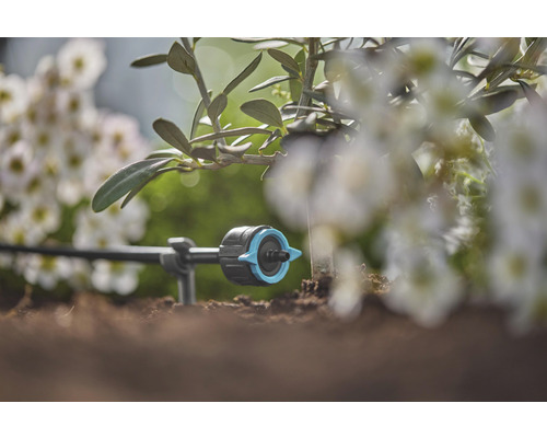 Kapková závlaha na zahradě pro zavlažování rostlin