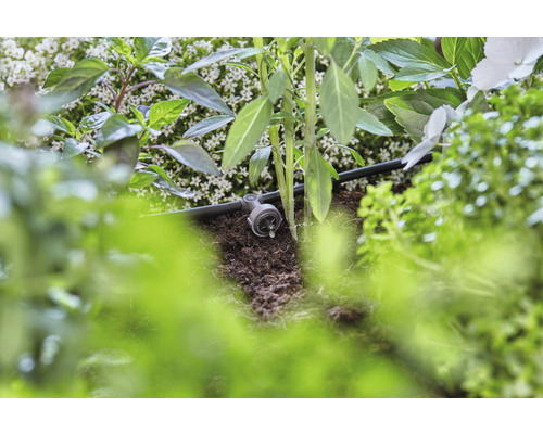 Kapkový zavlažovací systém v provozu mezi rostlinami a zeminou