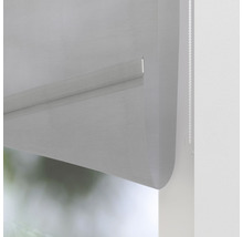 Roleta SOLUNA T20 šedá průhledná 60x190 cm