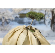 Rostlina se zimním ochranným obalem