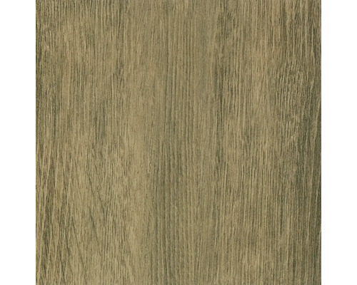 Textura dřeva pro stavební a renovační projekty