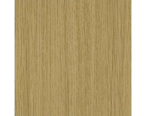 Struktura dřeva dub