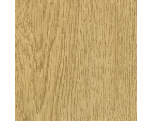 Detail dřevěné textury