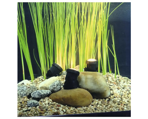 Akvarijní scéna s rostlinami, kameny a podvodním osvětlením
