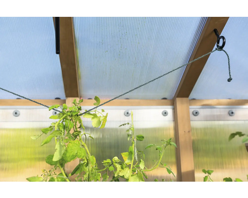 Interiér skleníku s rostlinami zavěšenými na lanech