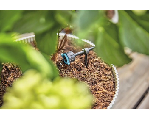 Kapková závlaha v provozu mezi rostlinami