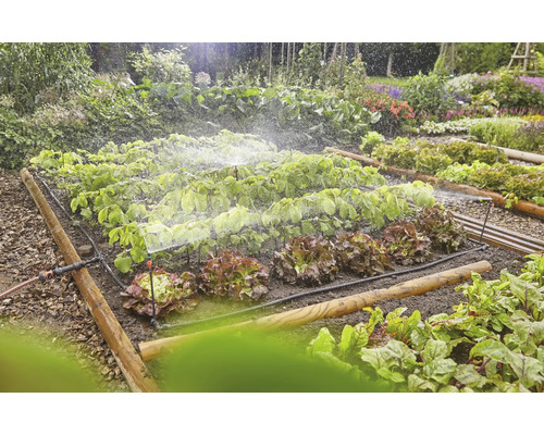 Zavlažovací systém v zeleninové zahradě se salátem a dalšími rostlinami.