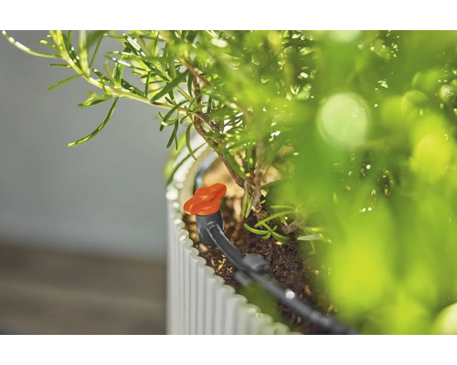 Systém kapkové závlahy pro rostliny v květináči