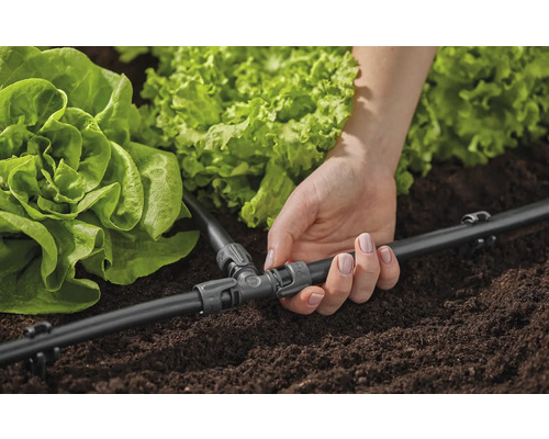 Detailní záběr ženy instalující zavlažovací systém pro saláty v zahradě