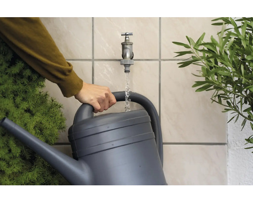 Konvička se plní vodou z kohoutku, vedle ní rostliny.