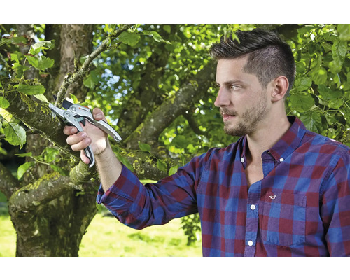Muž stříhá větve zahradními nůžkami.