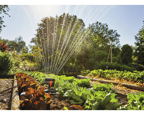 Zahradní scéna se zeleninovou zahradou a zavlažovačem trávníku v provozu