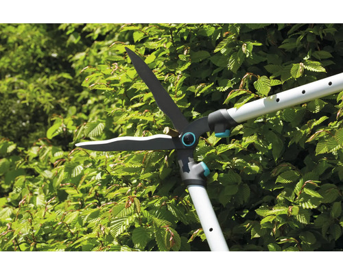 Nůžky na živý plot s teleskopickou rukojetí při stříhání živého plotu