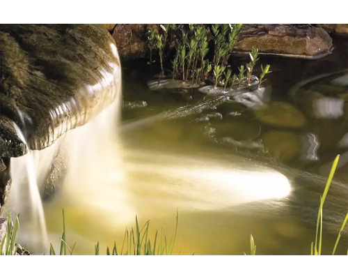 Zahradní jezírko s vodopádem a rostlinami