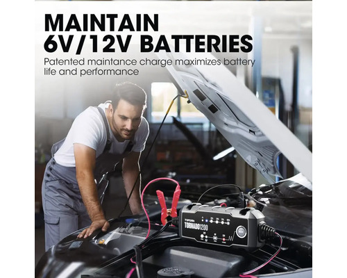 Nabíječka baterií pro údržbu 6voltových a 12voltových baterií v autě