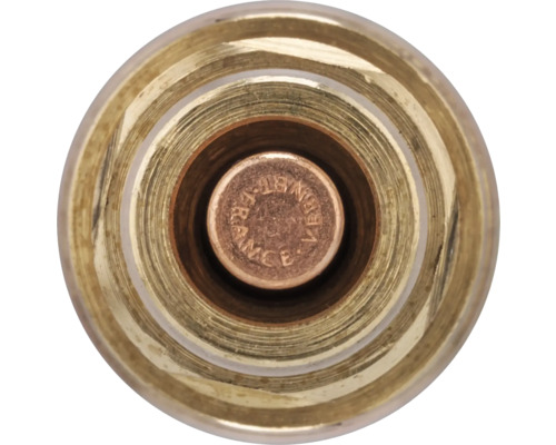 Vnitřek termostatu z mosazi