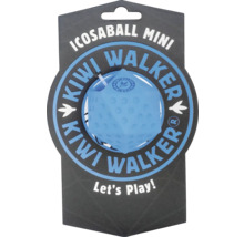 Icosaball Mini od Kiwi Walker na obalu