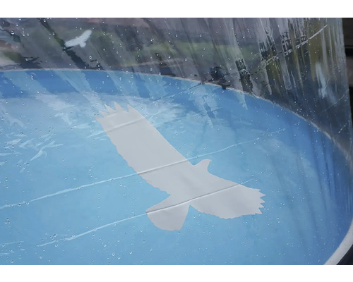 Detail bazénu s krytem a motivem ptáka