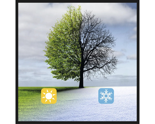 Obrázek znázorňující roční období jara a zimy se stromem, sluncem a sněhovou vločkou