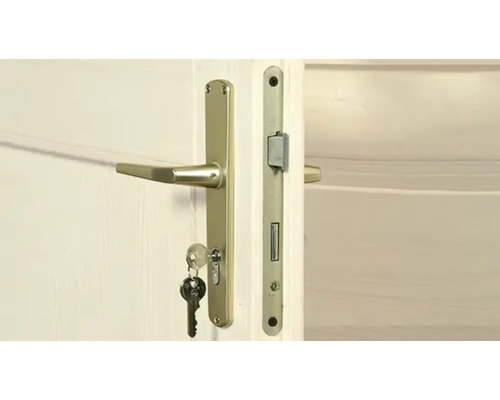 Dveře se zlatým kováním a klíčem