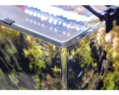 Detailní záběr osázeného akvária s rybami a osvětlením