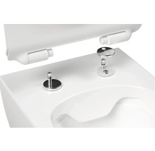 Detailní pohled na toaletu s upevněním WC sedátka