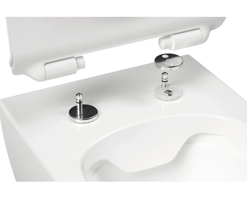 Detailní pohled na toaletu s upevněním WC sedátka