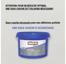 Modulan 2402 přilnavý základ, 5litrové balení