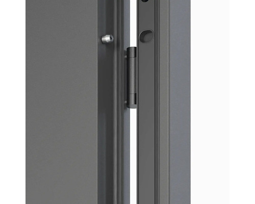 Detail dveří se závěsem a zámkem