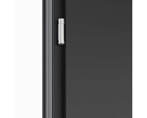 Detail dveří s pantem