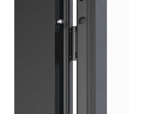 Detail dveří s pantem a uzamykacím kolíkem