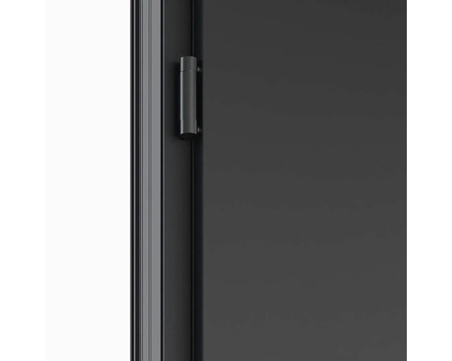 Detail dveří s kováním