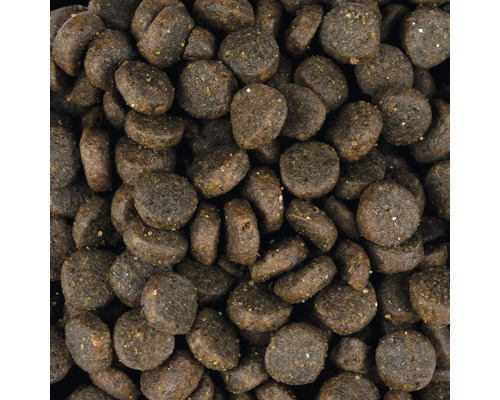 Detailní pohled na suché krmivo pro psy