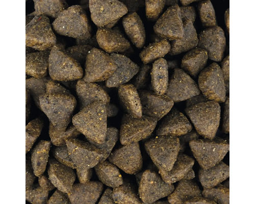 Detailní záběr suchého krmiva pro psy