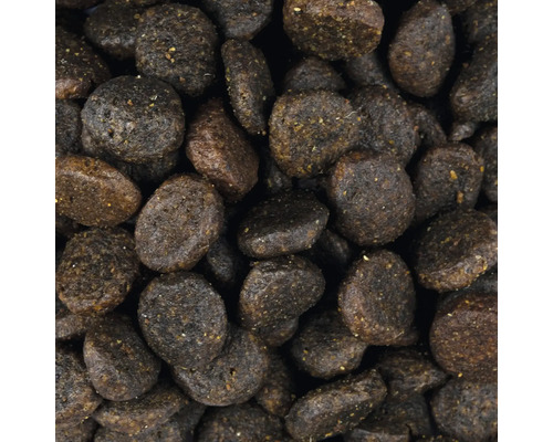 Detailní záběr suchého krmiva pro psy