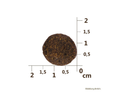 Jeden kus suchého krmiva s uvedením velikosti v centimetrech